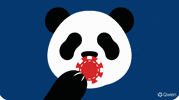 Betpanda Casino